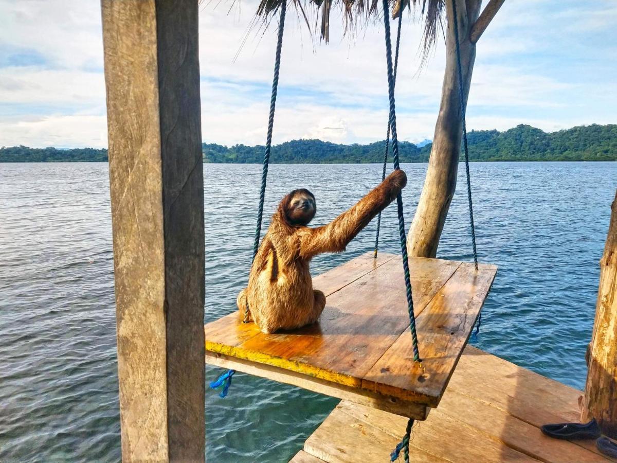 Hotel Cocovivo Bocas del Toro Zewnętrze zdjęcie