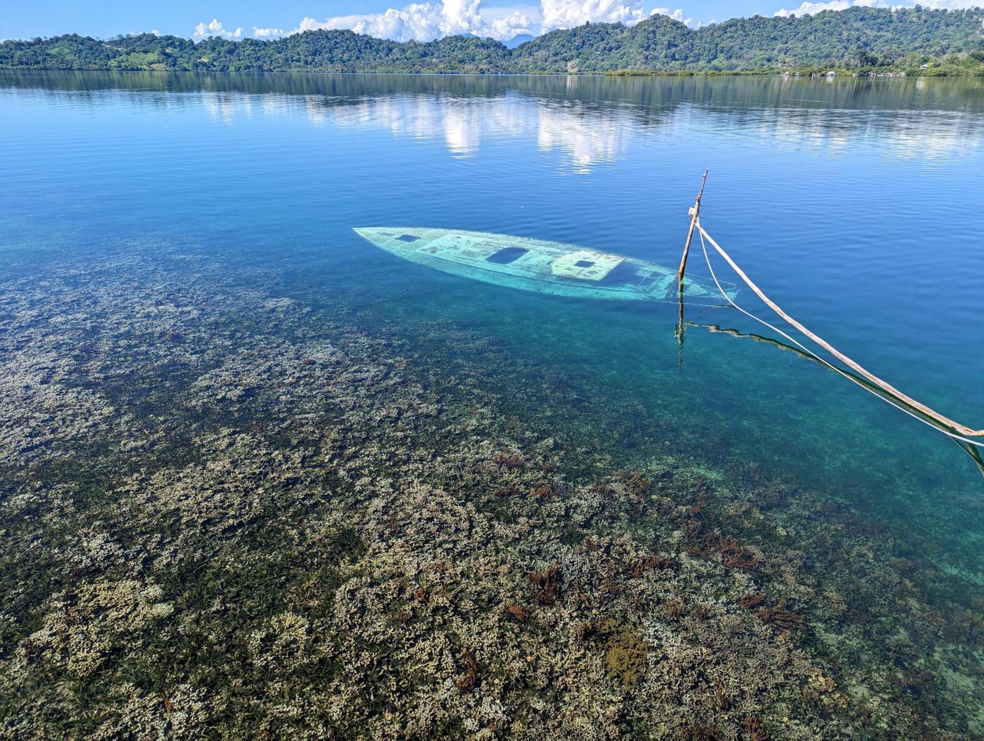 Hotel Cocovivo Bocas del Toro Zewnętrze zdjęcie