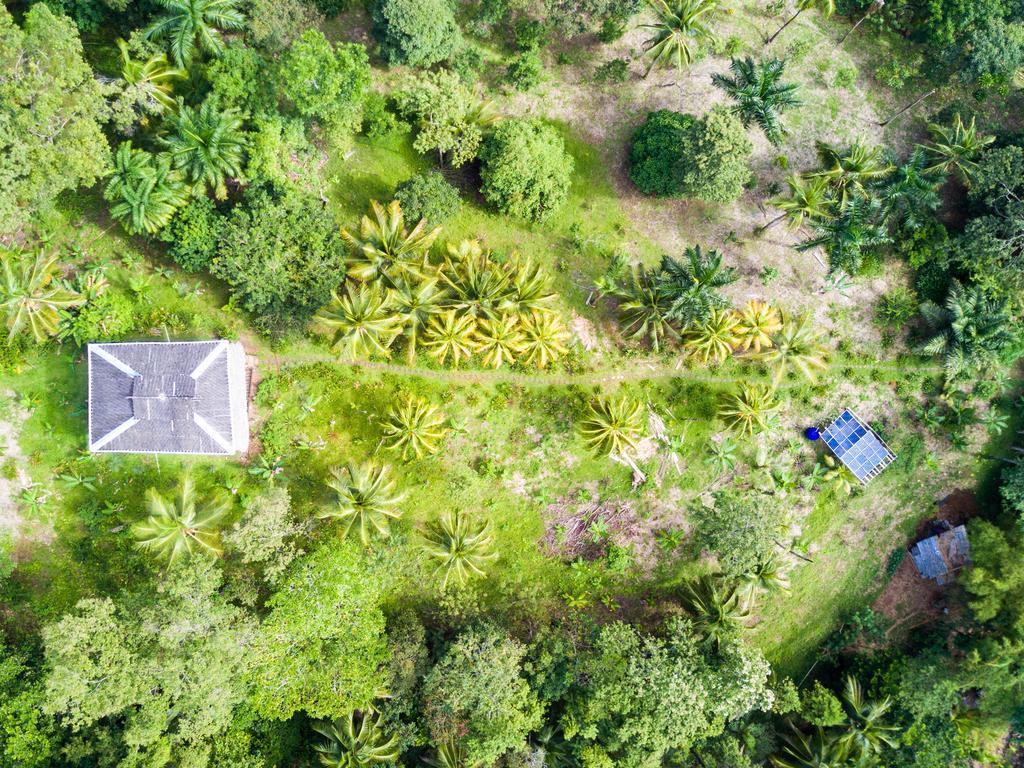 Hotel Cocovivo Bocas del Toro Zewnętrze zdjęcie