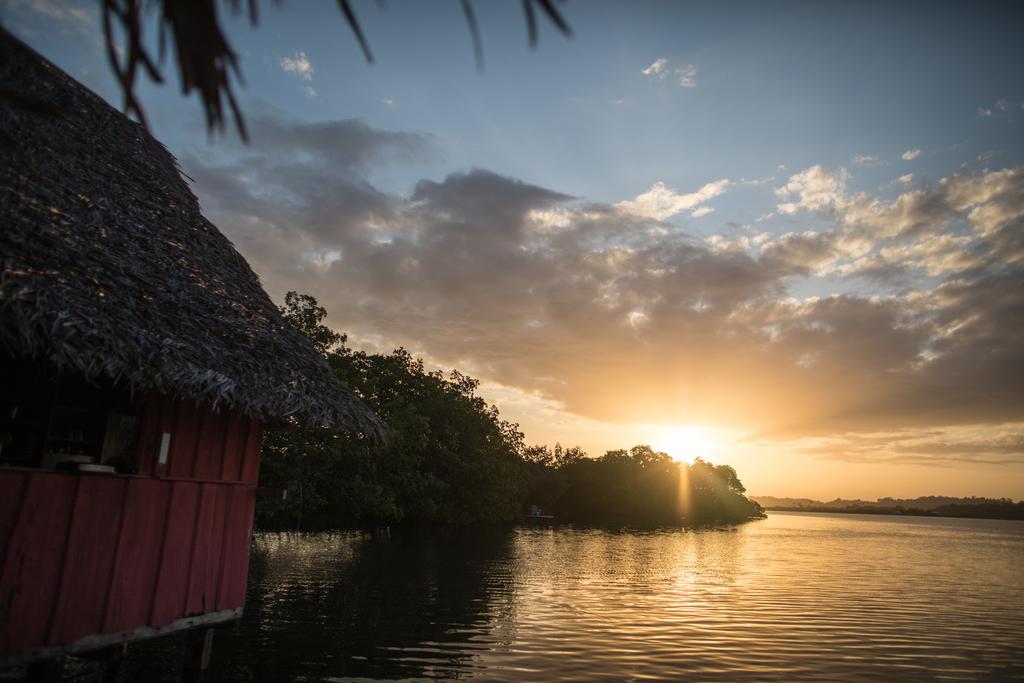 Hotel Cocovivo Bocas del Toro Zewnętrze zdjęcie